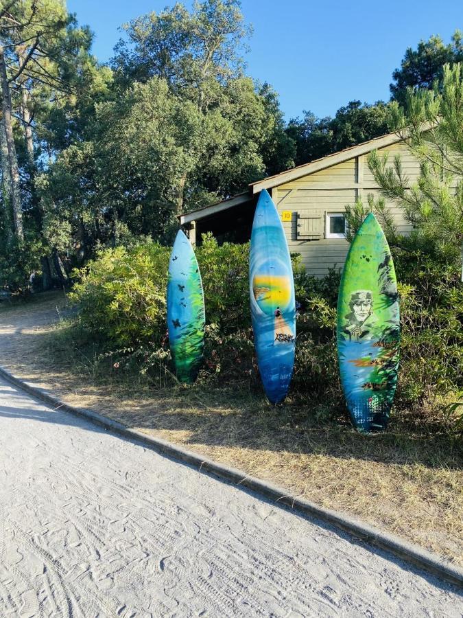 Village Vacances La Foret Des Landes Tarnos Esterno foto