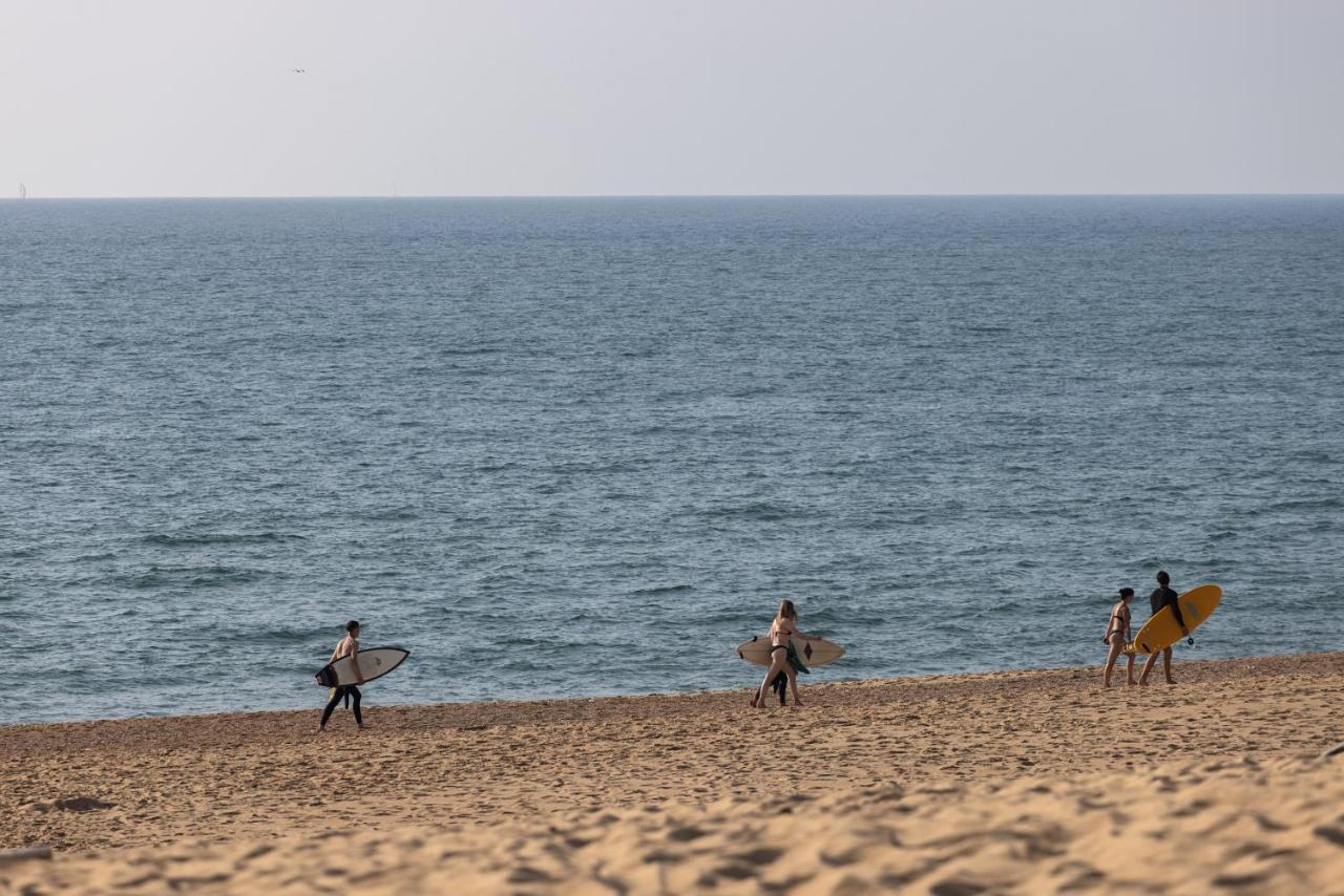 Village Vacances La Foret Des Landes Tarnos Esterno foto