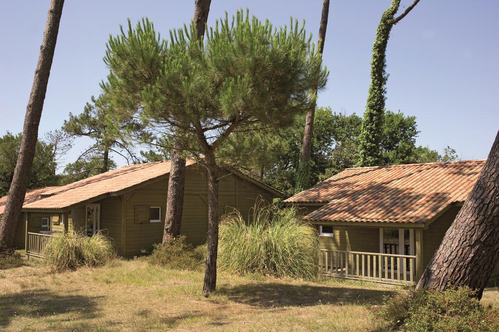 Village Vacances La Foret Des Landes Tarnos Esterno foto