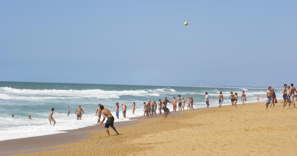 Village Vacances La Foret Des Landes Tarnos Esterno foto